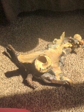 Natural Driftwood Rustic Hideout With Seashells Or House Decor - Brown & Black